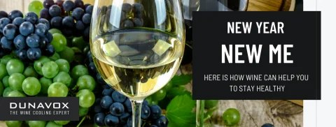 DUNAVOX ПРЕДСТАВЛЯЕТ ВЫСОКОКЛАССНЫЙ ДЕМОНСТРАЦИОННЫЙ ВИННЫЙ ХОЛОДИЛЬНИК