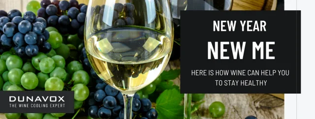 DUNAVOX ПРЕДСТАВЛЯЕТ ВЫСОКОКЛАССНЫЙ ДЕМОНСТРАЦИОННЫЙ ВИННЫЙ ХОЛОДИЛЬНИК