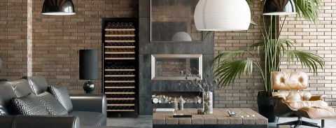 DUNAVOX Что такое винный шкаф и почему его стоит приобрести?